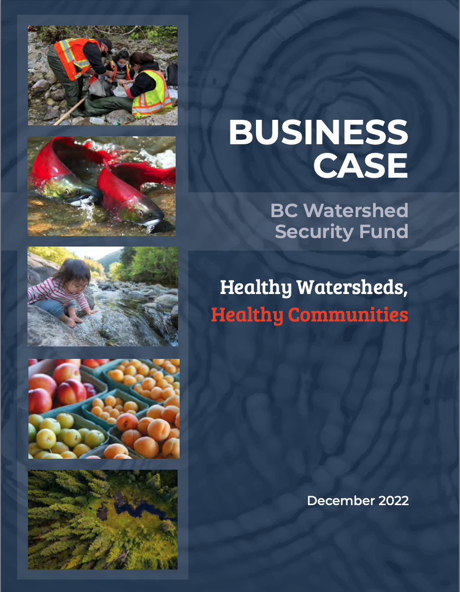 Business Case: Watershed Security Fund (2022)
