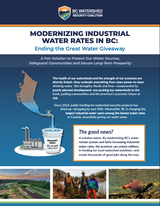 Executive SUmmary: Modernizing Industrial Water Rates Report