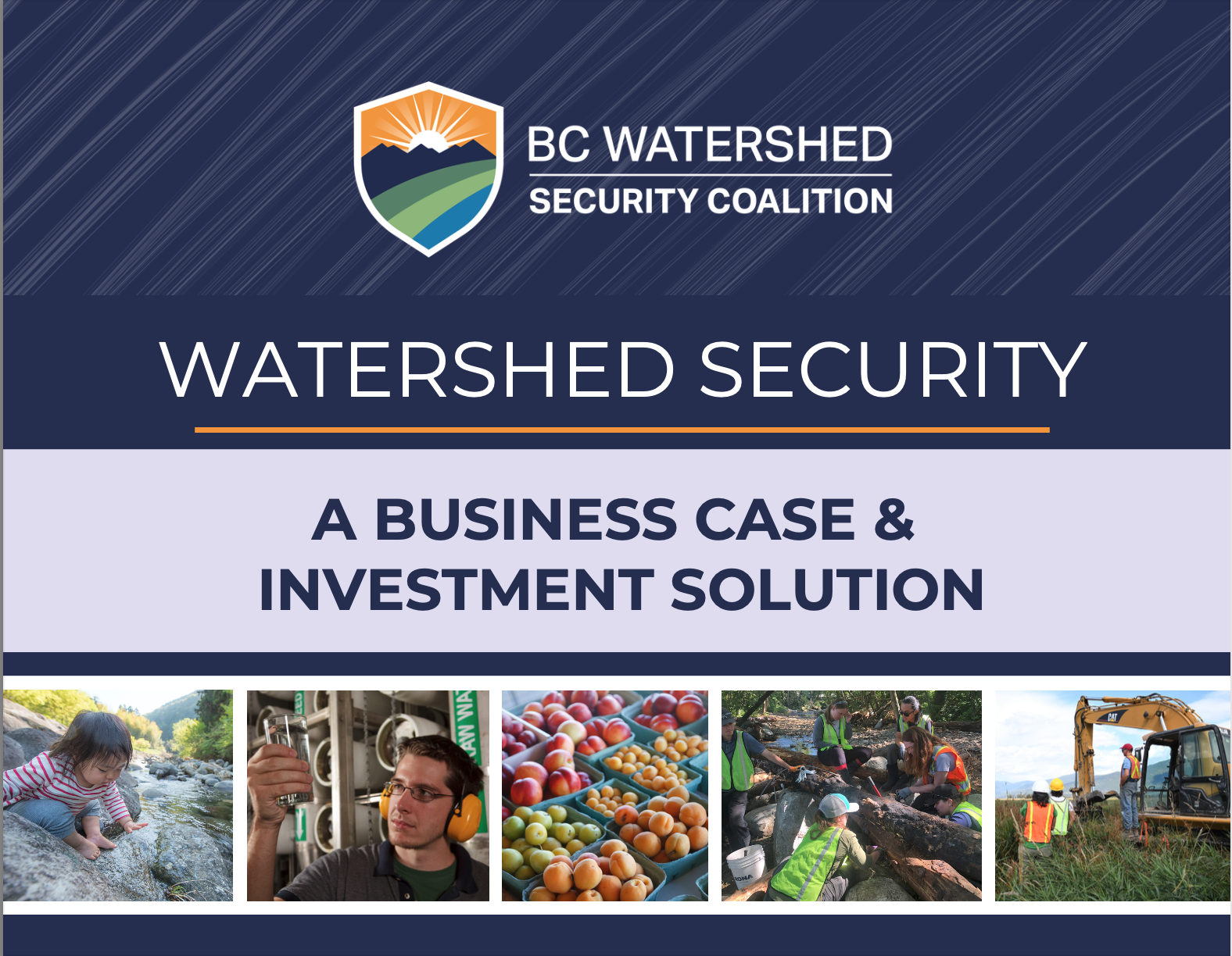 Business Case & Investment Solution